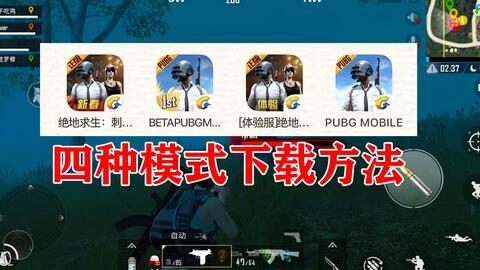 pubg国际服9图最新爆料,九图揭秘游戏新动态
