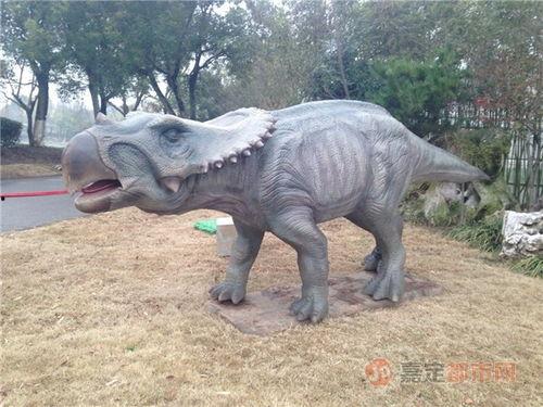 有网友爆料恐龙的视频吗,恐龙重现人间?网友热议神秘恐龙视频 第3张 有网友爆料恐龙的视频吗,恐龙重现人间?网友热议神秘恐龙视频 第3张